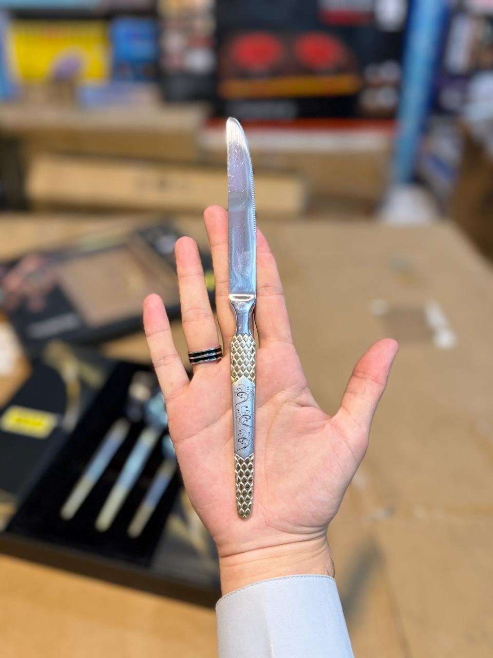 AYD Germany 24pcs cutlery set