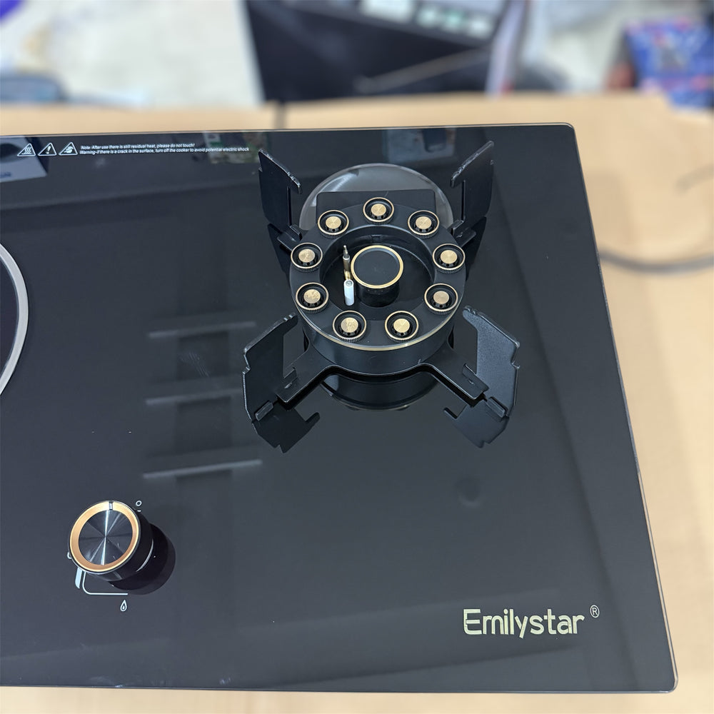 Imported 2 in 1 Gas & Electric Stove