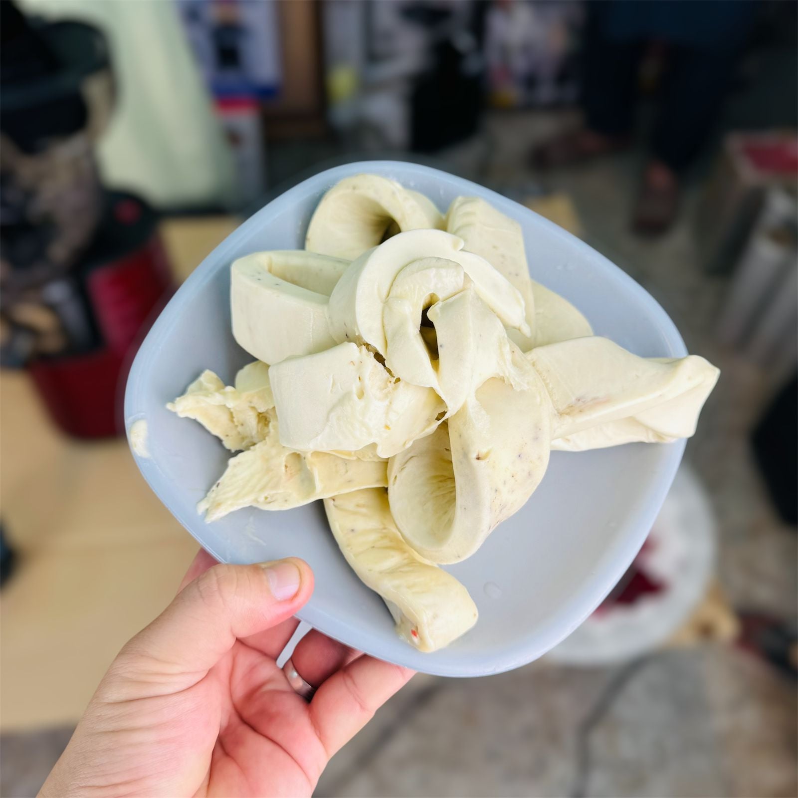 savtm 2 IN 1 Ice cream & cold press juicer JE-31 ( slow juicer )