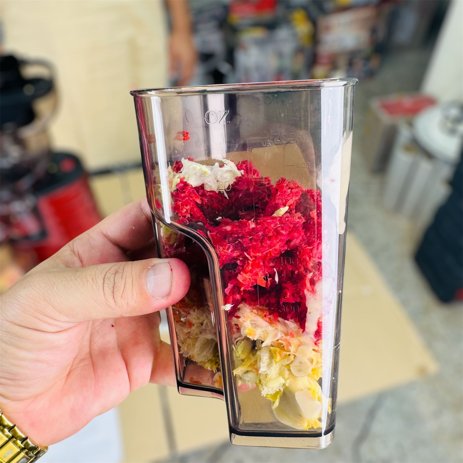 savtm 2 IN 1 Ice cream & cold press juicer JE-31 ( slow juicer )